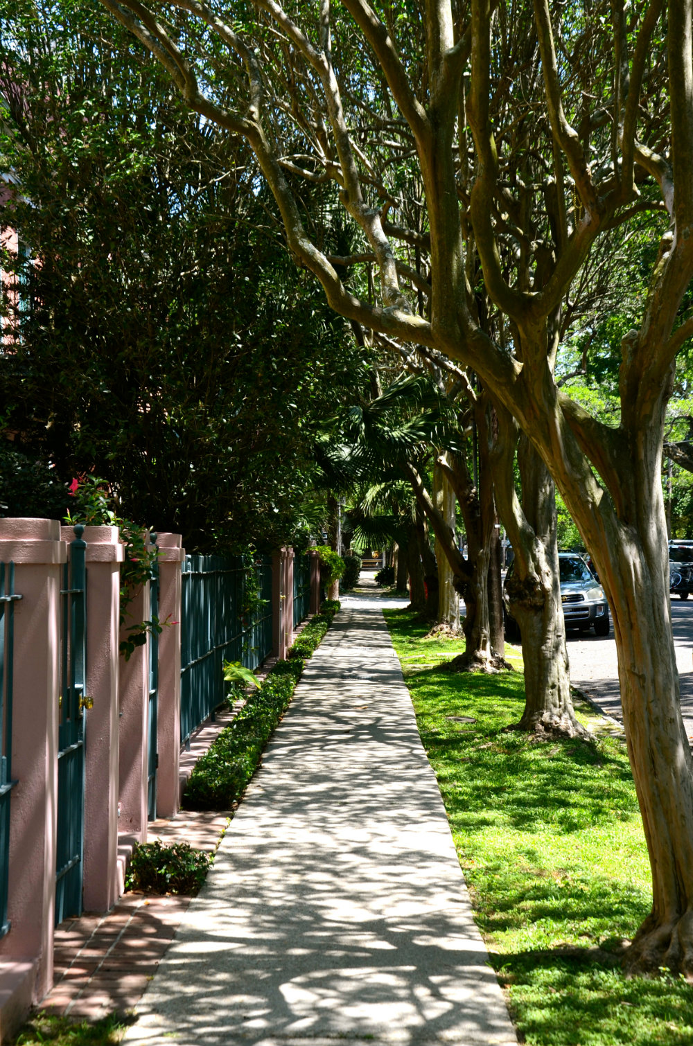 Walking throughout a tunnel of trees in the Garden District in New Orleans.