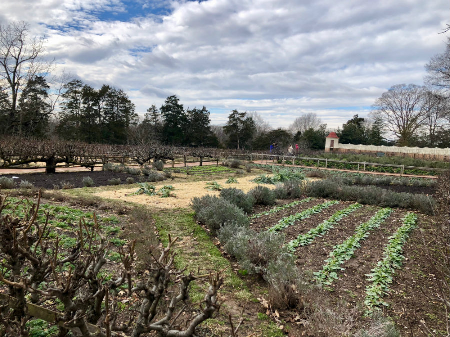 The gardens at the plantation of George Washington in Mt. Vernon