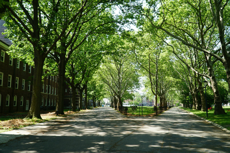Walking around beautiful Governors Island in New York.