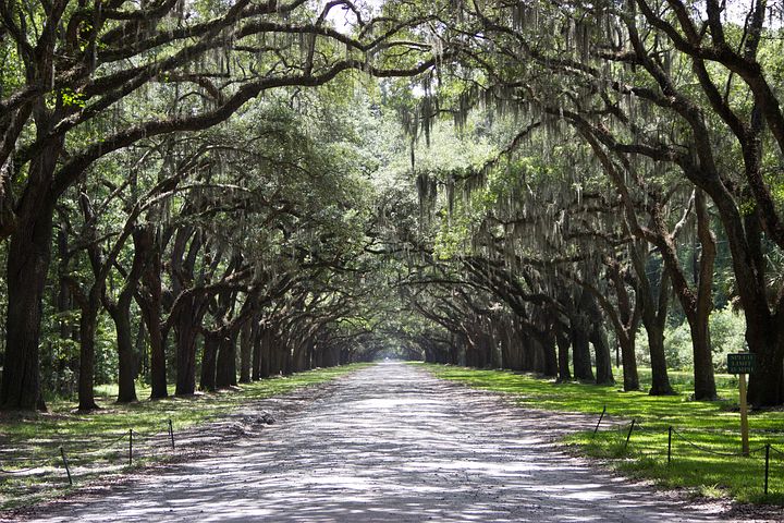 Savannah is onlt 45 minutes away from Hilton Head and a must visit.