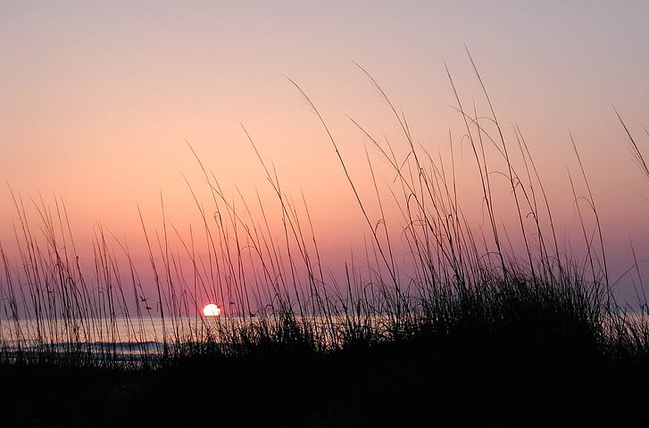 Photo credit: Pixabay