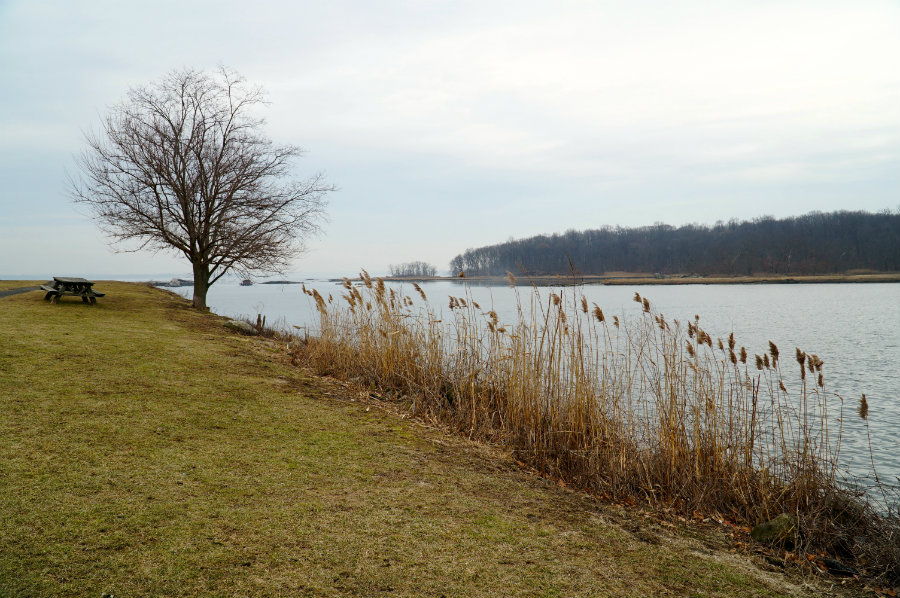 Westchester Snapshots: Living in Pelham, NY