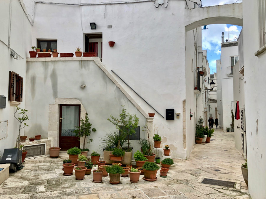 Puglia plants