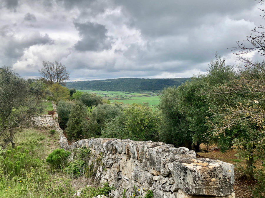 Puglia-countryside