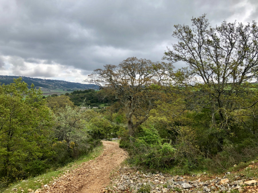 Walk-Alberobello-Locorotondo-Puglia-countryside