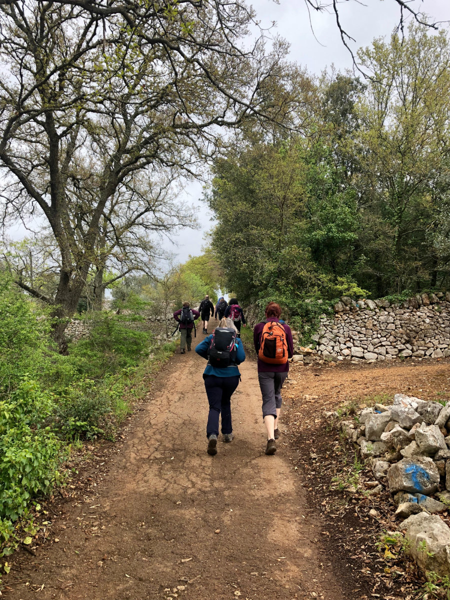 Walking-to-Locorotondo