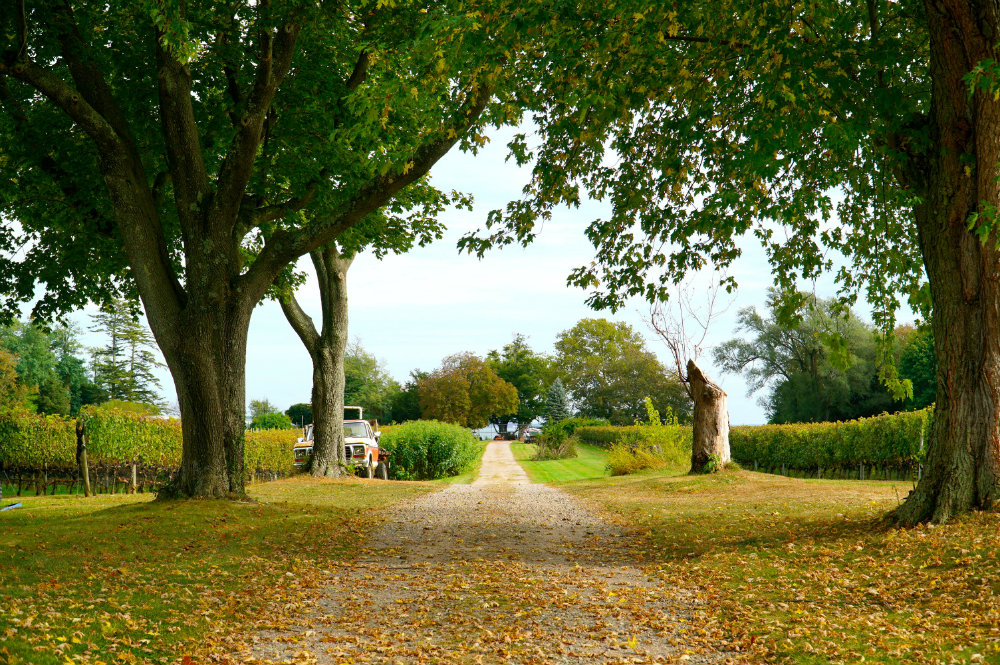 Why Long Island’s North Fork Makes for the Perfect Weekend Get-Away