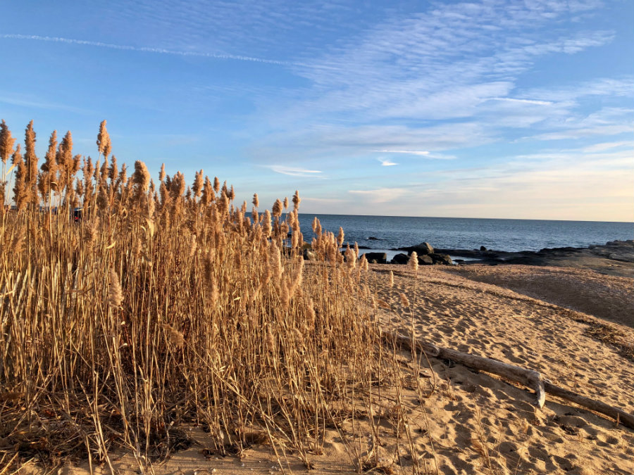 Walking along the beach at the Madison Beach Hotel is Madison, CT