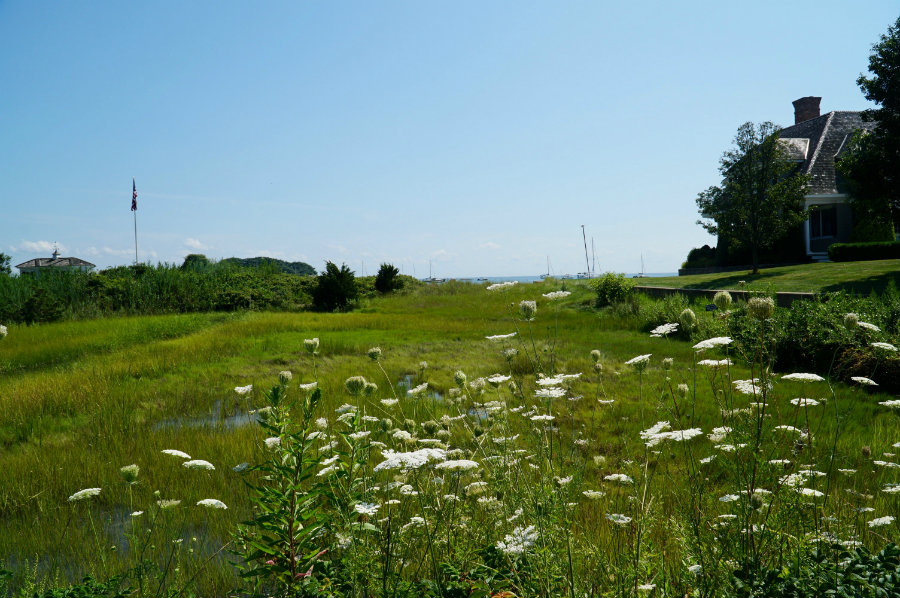 Madison Connecticut field
