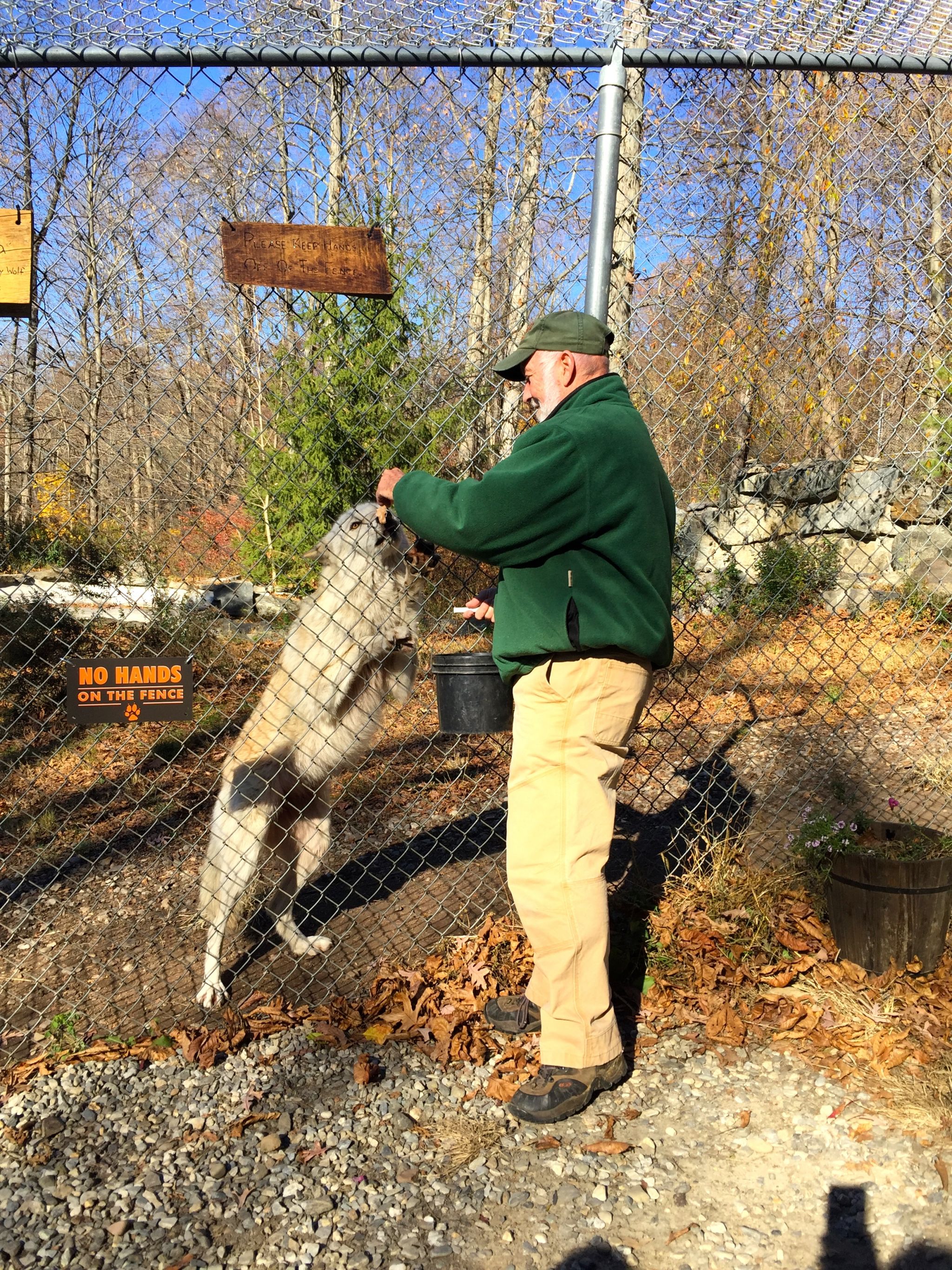 wolf-conservation-center-IMG_7064