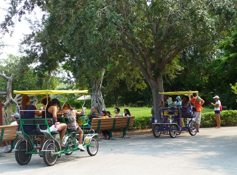 Having fun on the cycles at Miami zoo.