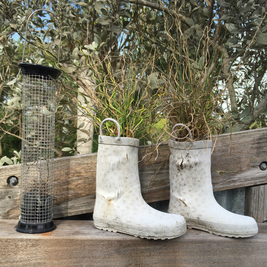 Exploring the Children's Garden at the Naples Botanical Garden