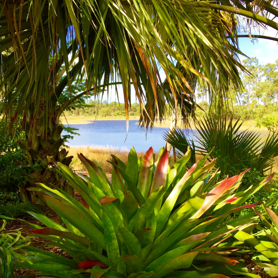 Paradise at the Naples Botanical Garden