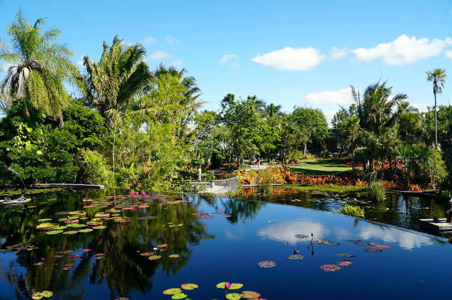 Why You Must Visit the Naples Botanical Garden in Naples, FL