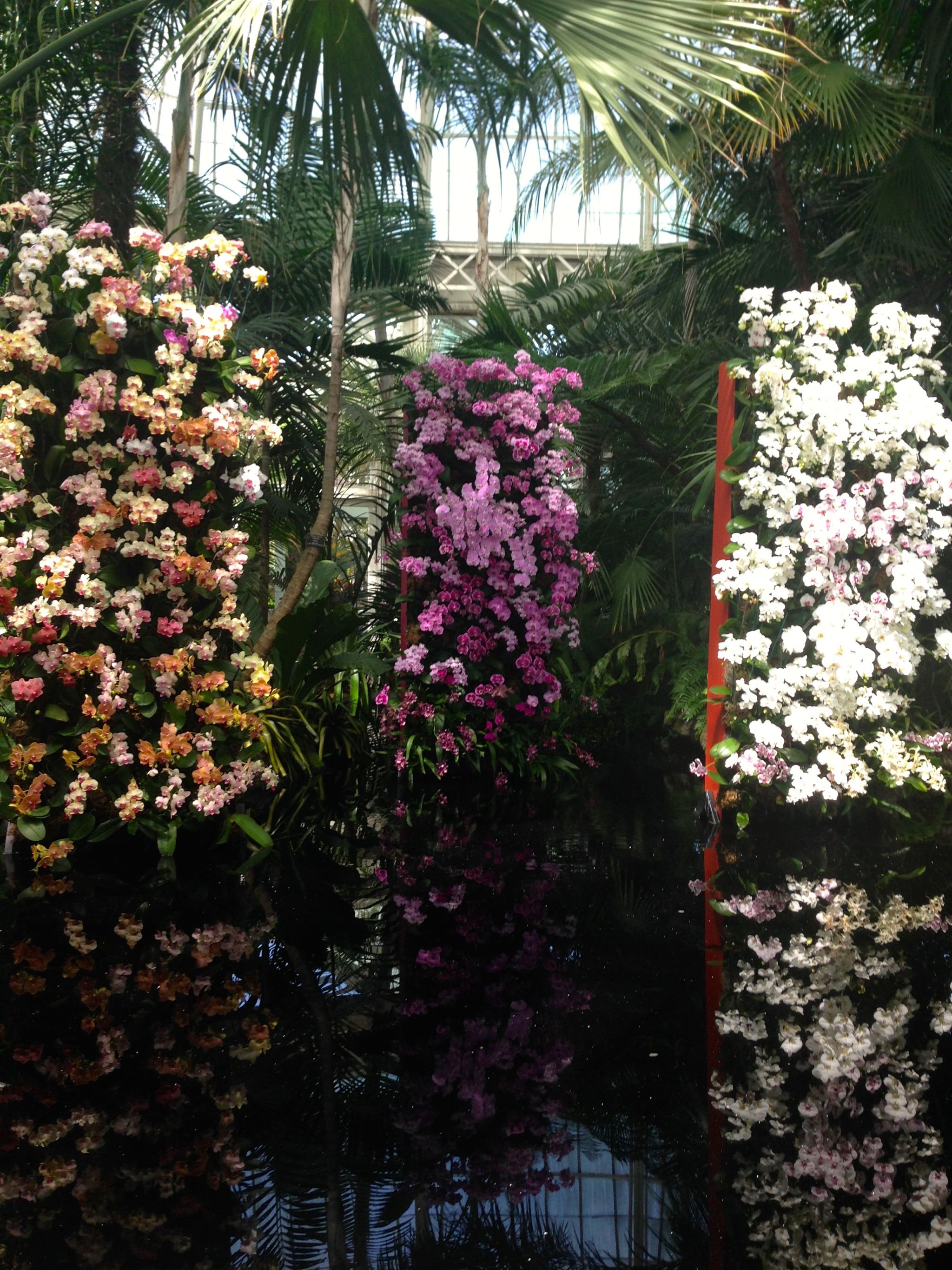 Flowers in bloom at the New York Botanical Gardens in the Bronx.