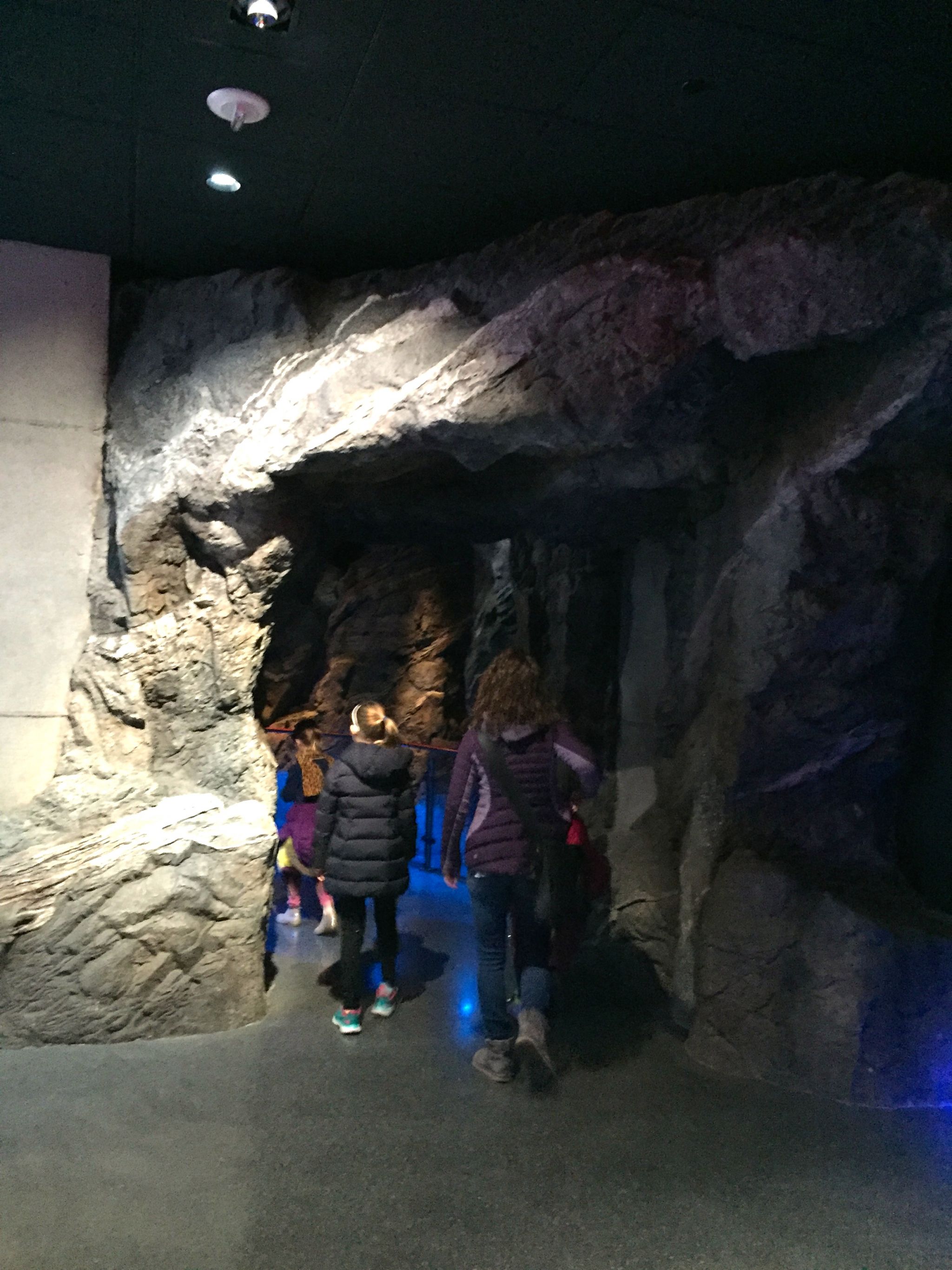Walking through the Foundation