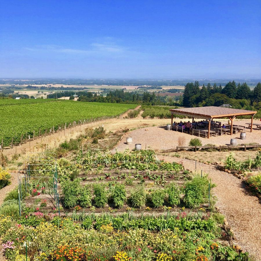 wine tasting at Brooks winery in Oregon wine country