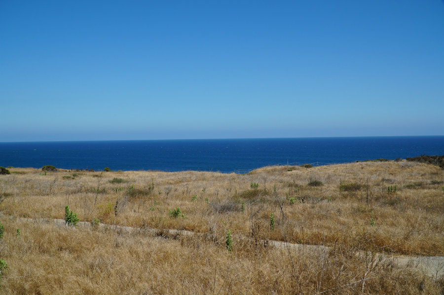Point Dume preserve
