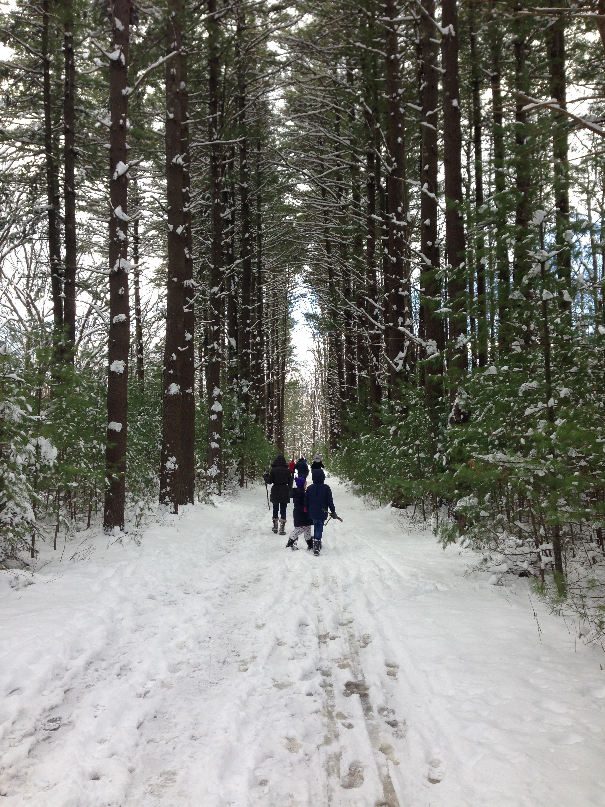 Skytop: Pennsylvania’s Favorite Family Resort for Outdoor Enthusiasts