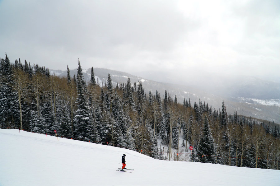 Tree skiing at Steamboat Springs ski resort