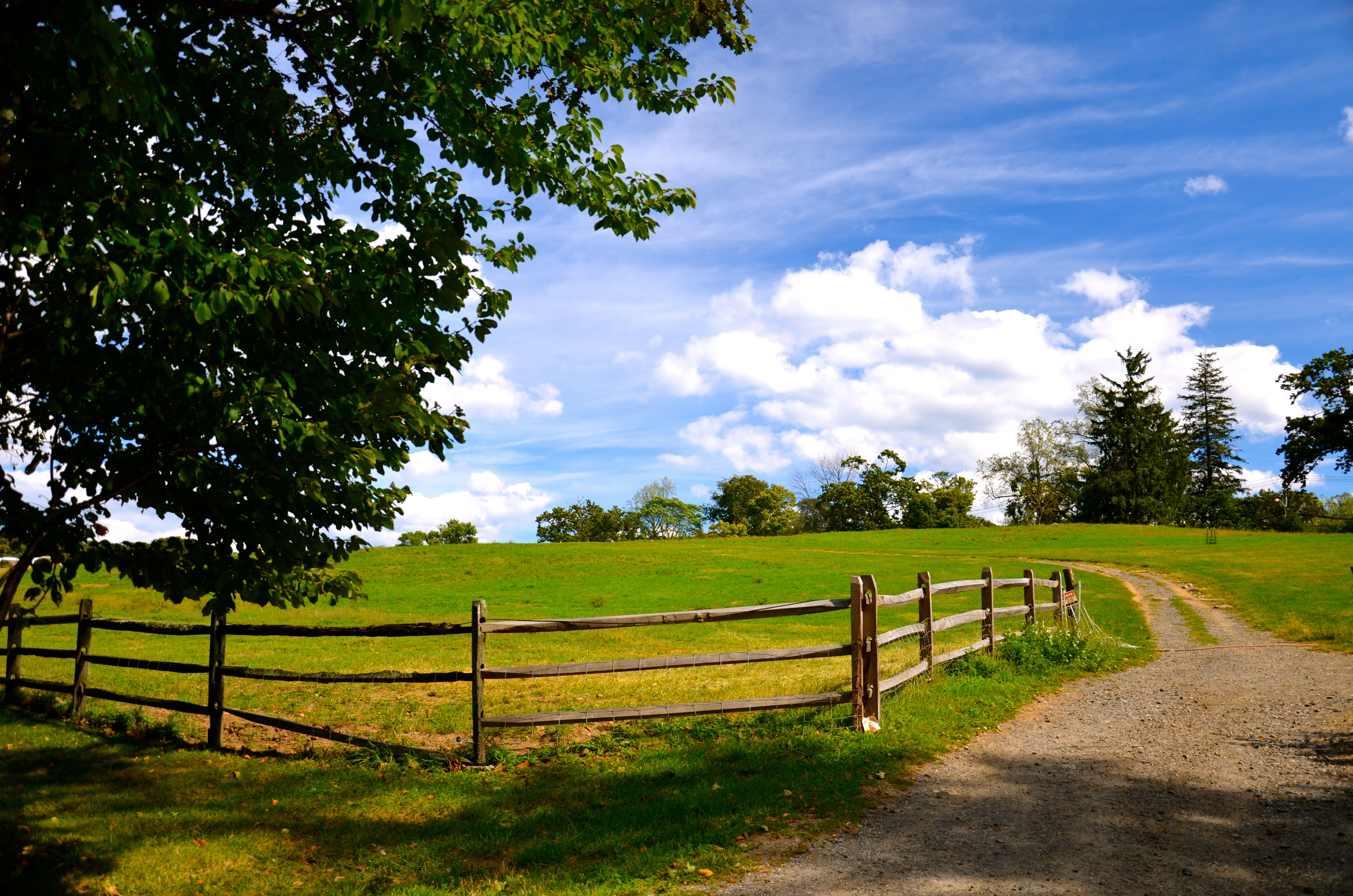 Stone Barns: Oasis in Westchester
