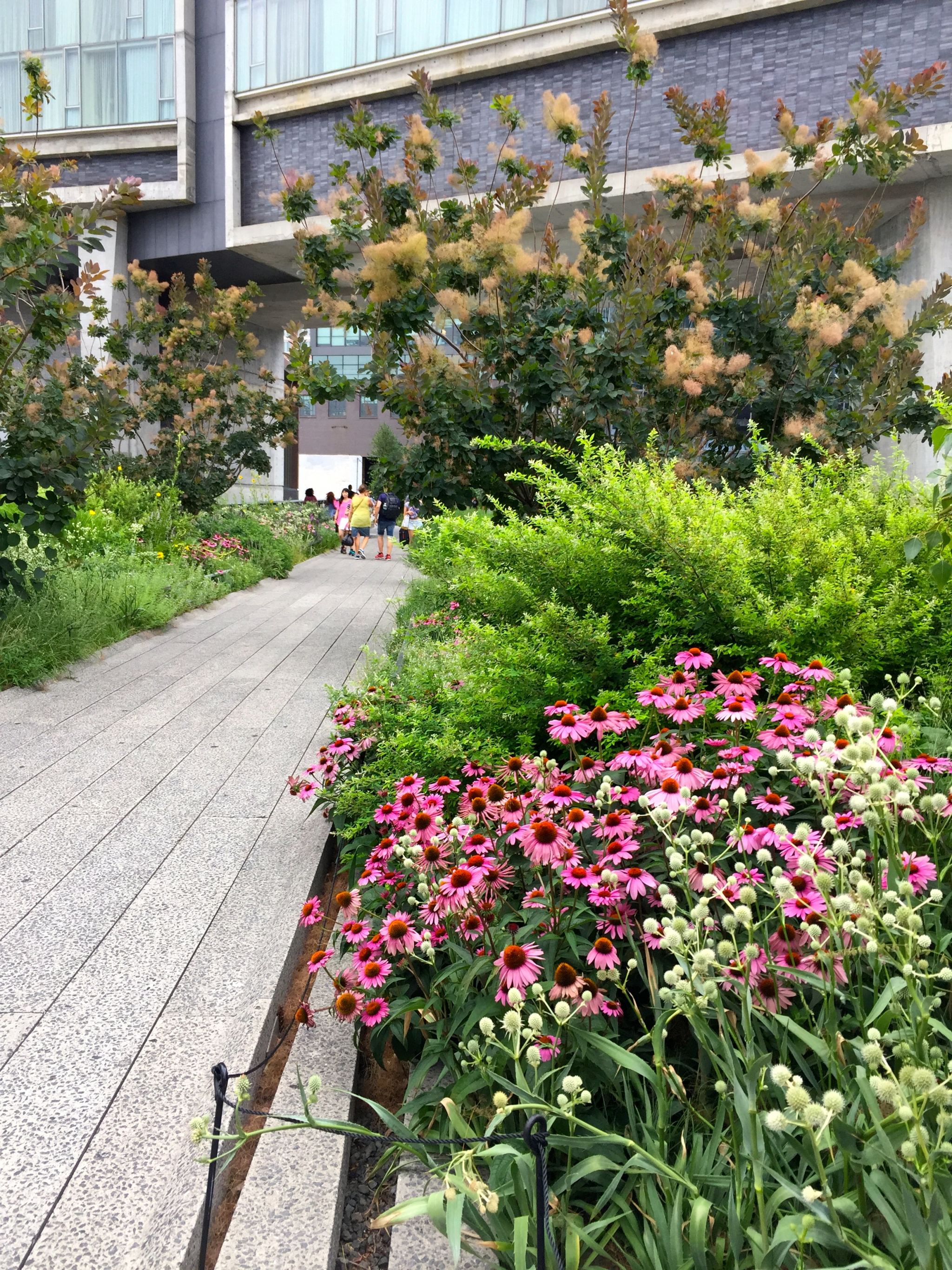 Walking along the Highline in New York City in the summer.