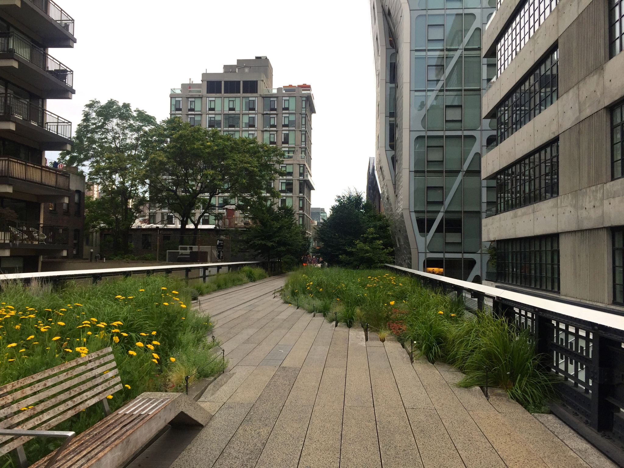 Walking along the Highline in New York City in the summer.