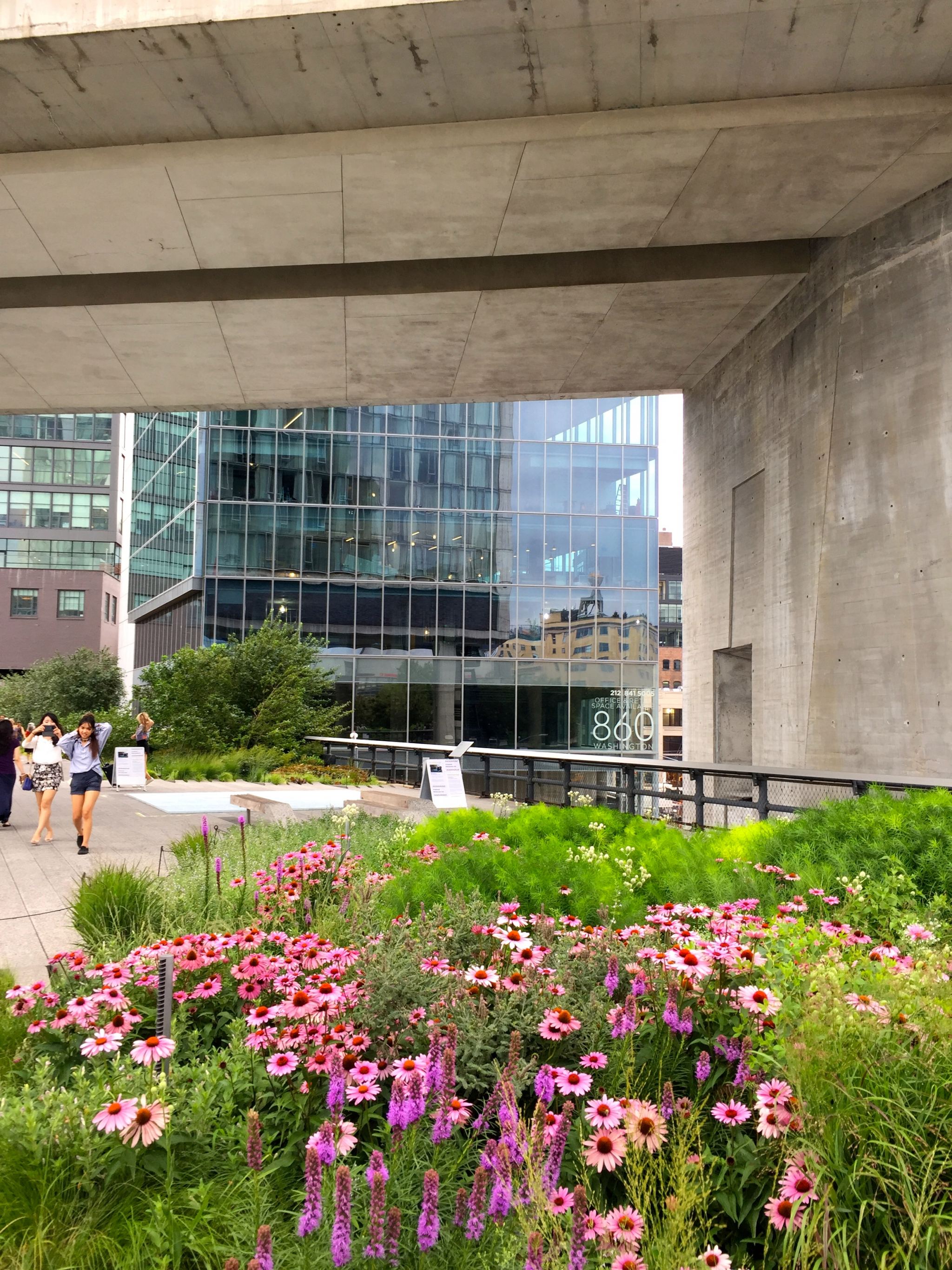 highline-new-york-summer-walk-