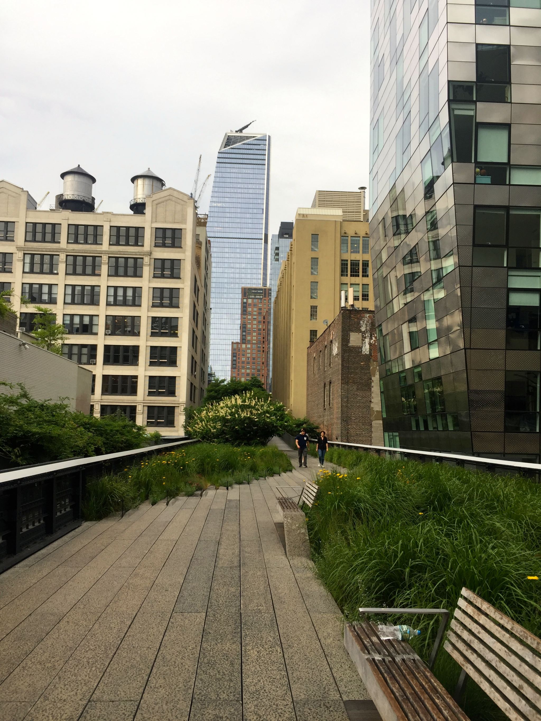 highline-nyc-summer-