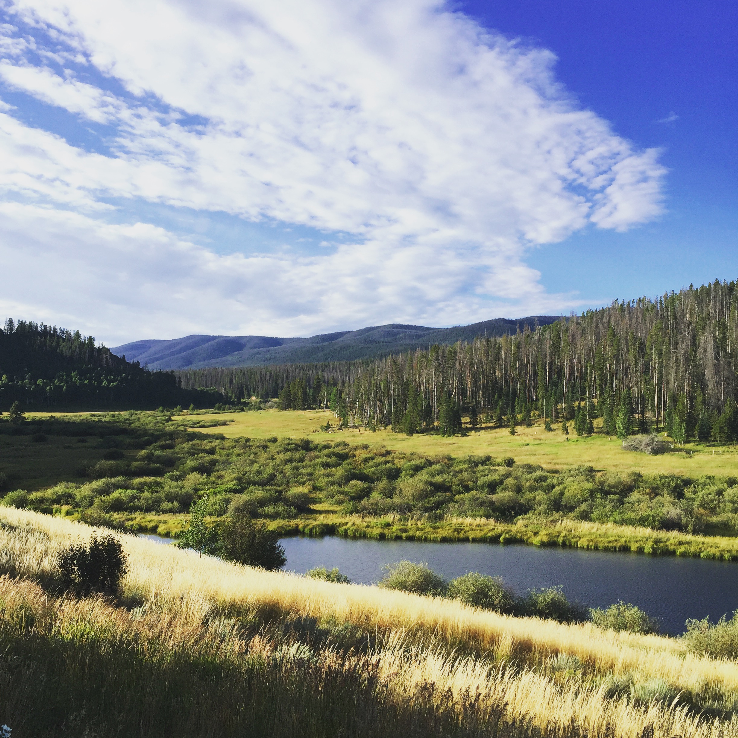 Things to do in Steamboat Springs in the Summer