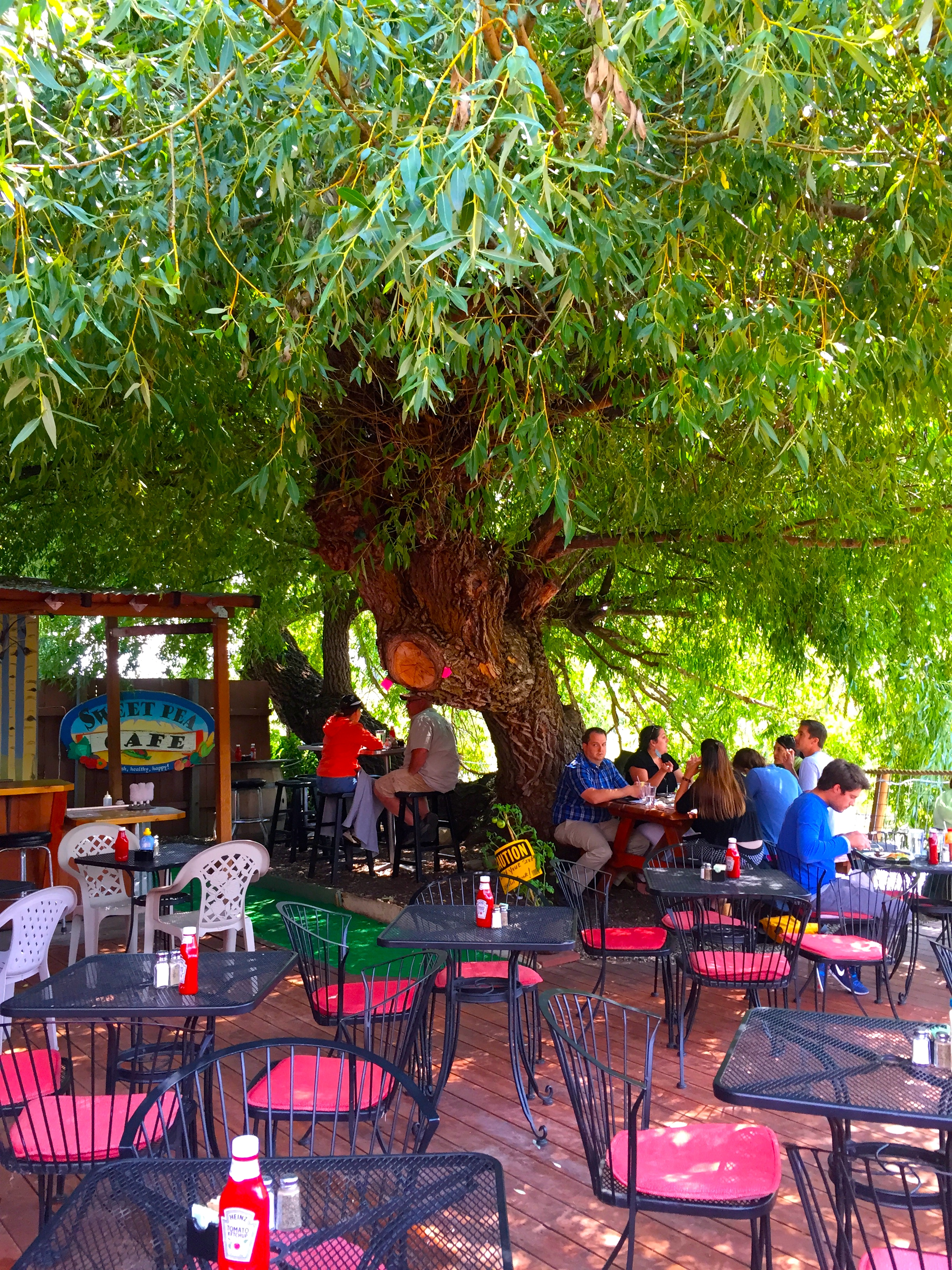 Eating on the Yampa River in Steamboat Springs, CO.