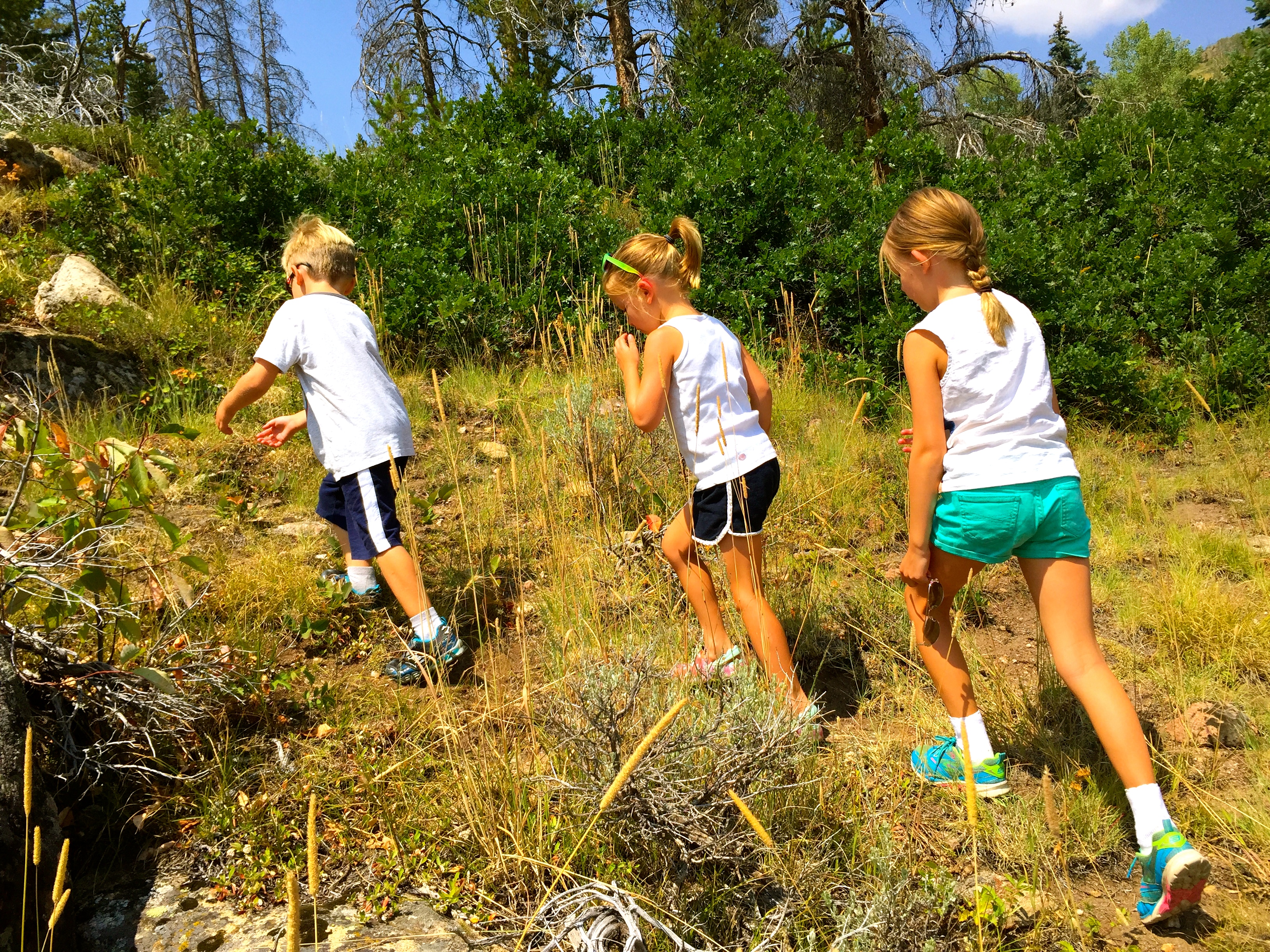 Things to do in Steamboat Springs in summer, hiking