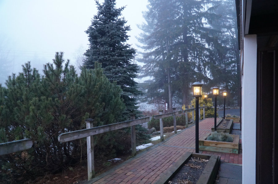 Foffy morning walk outside the Swiss Hutte inn