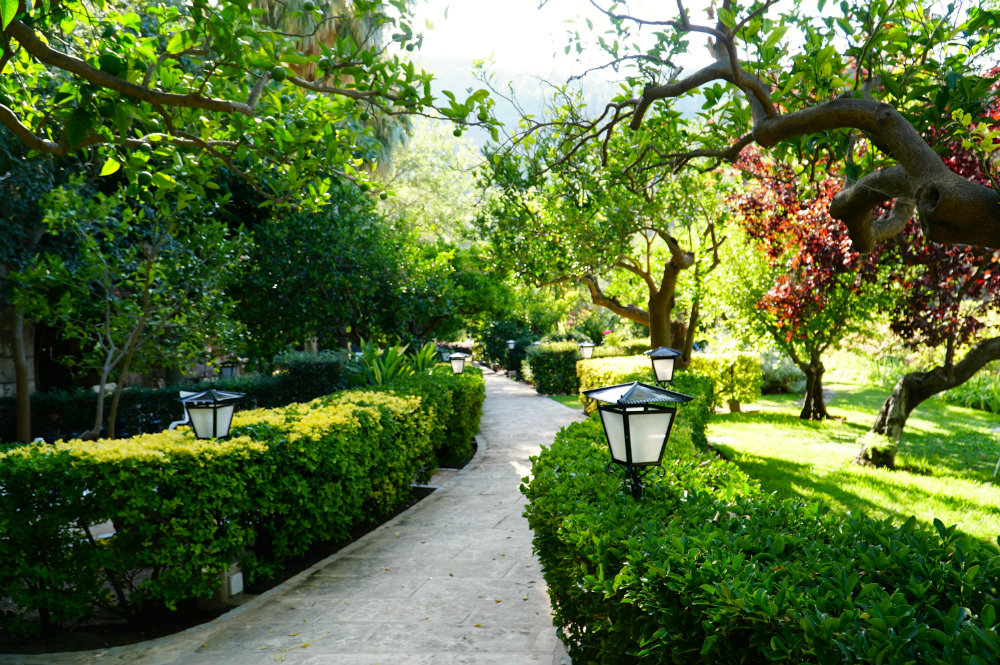 Mallorca-Deia-Es-Moli-hotel-