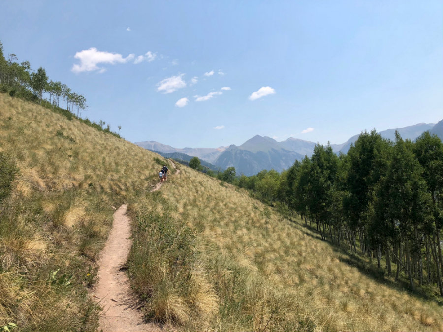 Telluride in summer, hiking the Jud Wiebe Trail