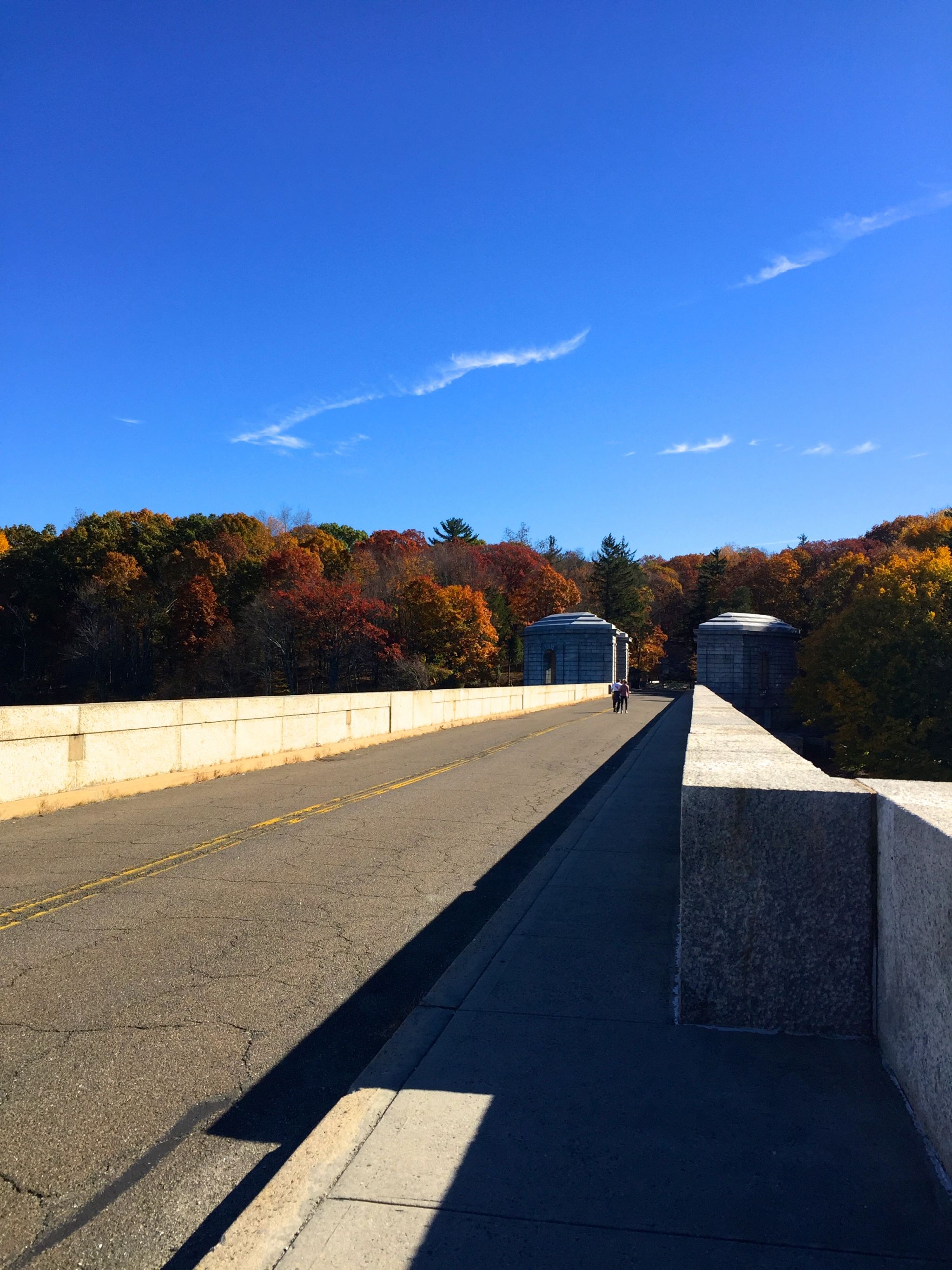 new-york-westchester-kensico-img_6912