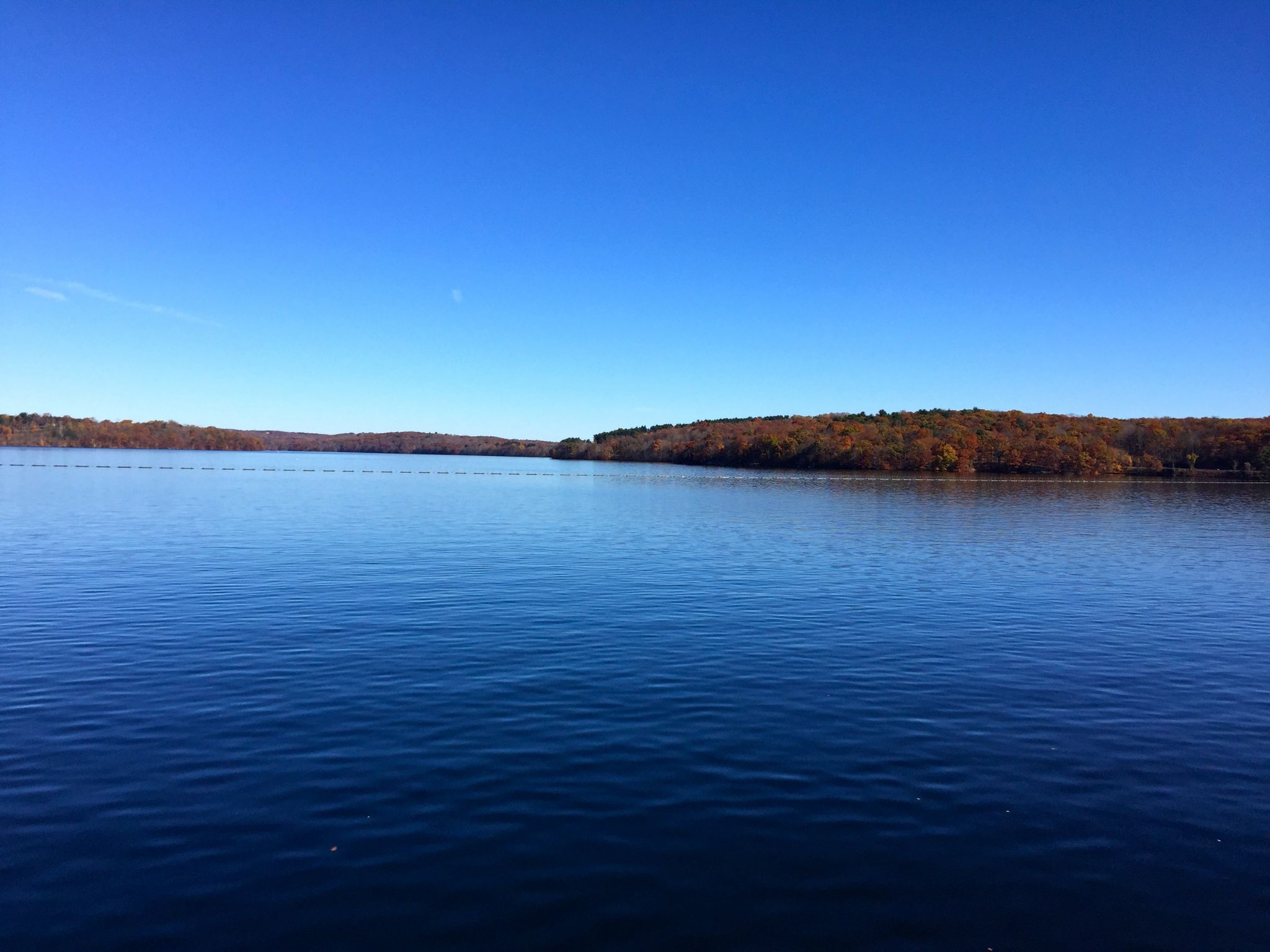 new-york-westchester-kensico-img_6921