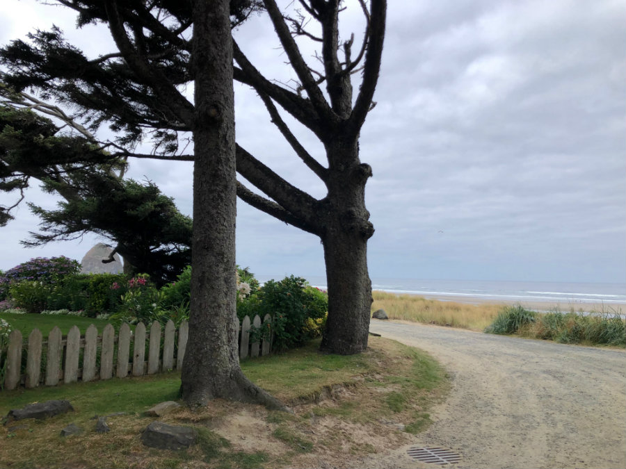 Walking around Cannon Beach Oregon, things to do in Cannon Beach