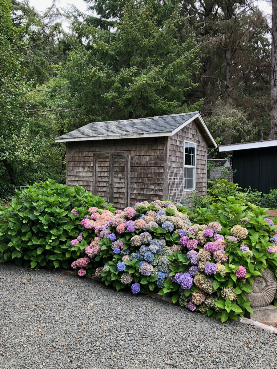 Cannon-Beach-village-home-flowers