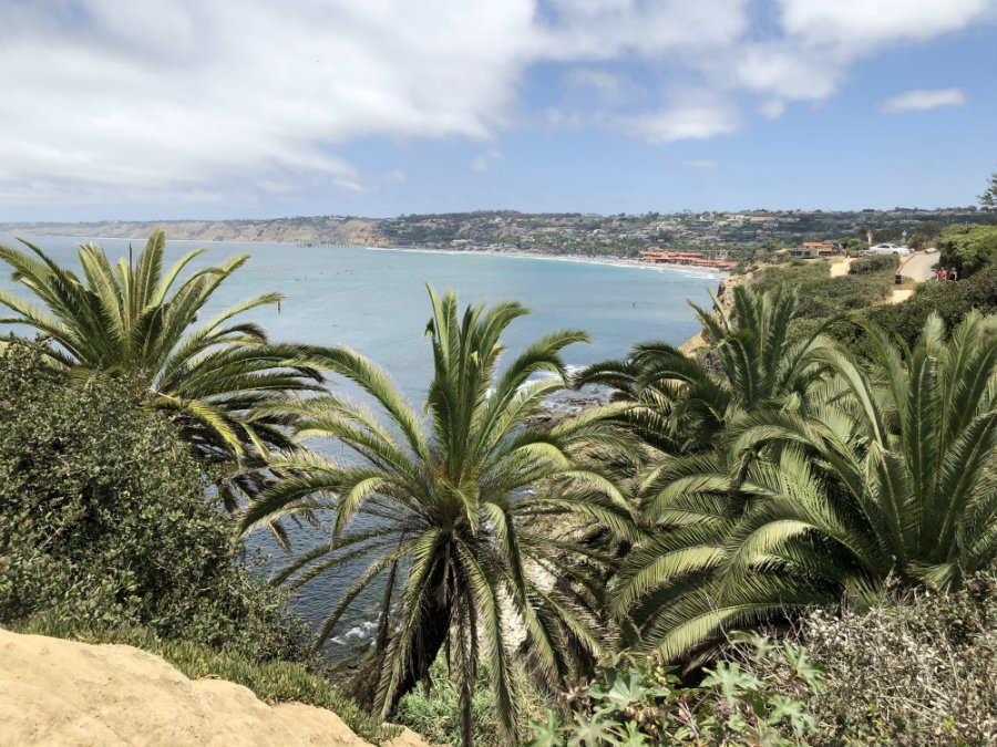 Things to do in La Jolla CA