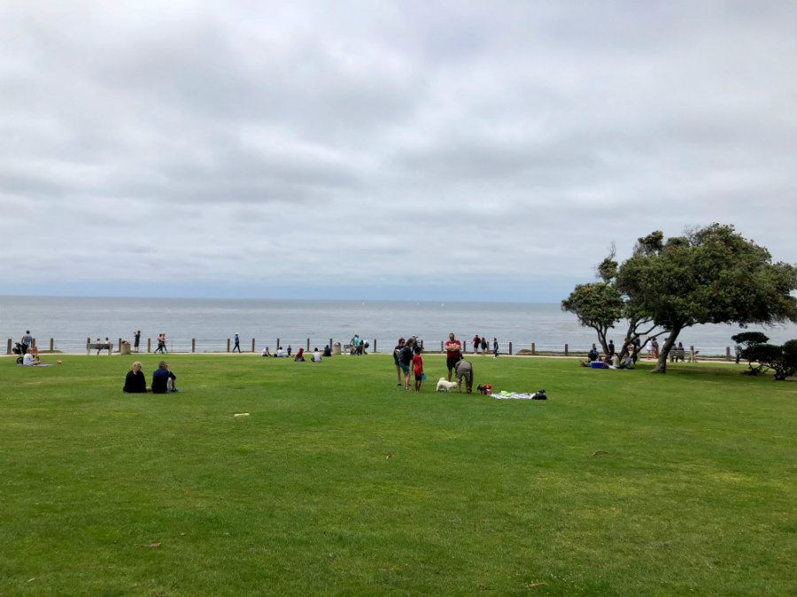 Things to do in La Jolla, Scripps Park
