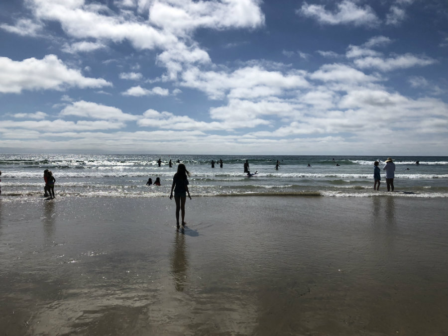 Swimming at La Jolla Shores Beach