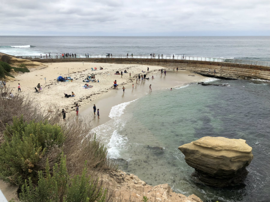 Things to do in La Jolla, Children's Beach