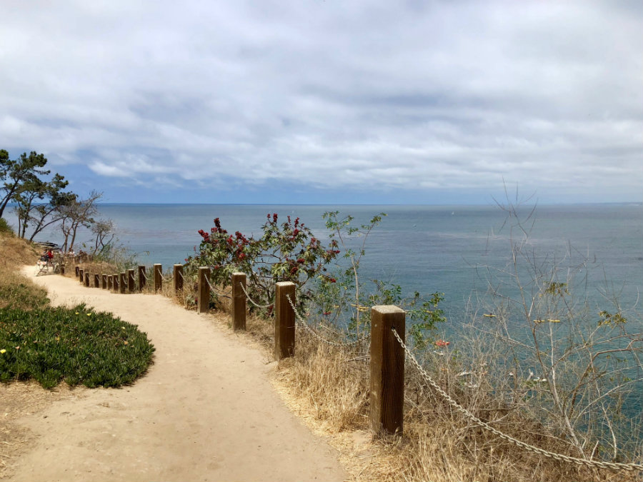 La Jolla Coastal Path Walk