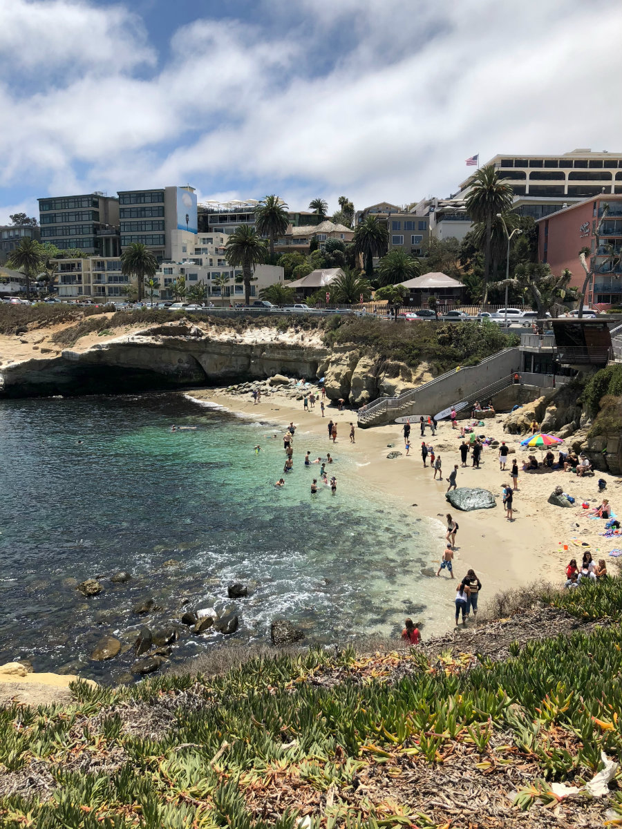 A view of La Jolla Cove