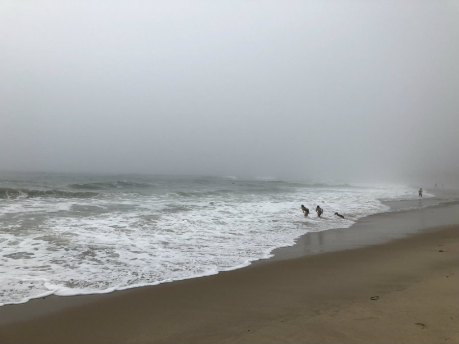 Things to do in Montauk when it rains, rainy beach walk