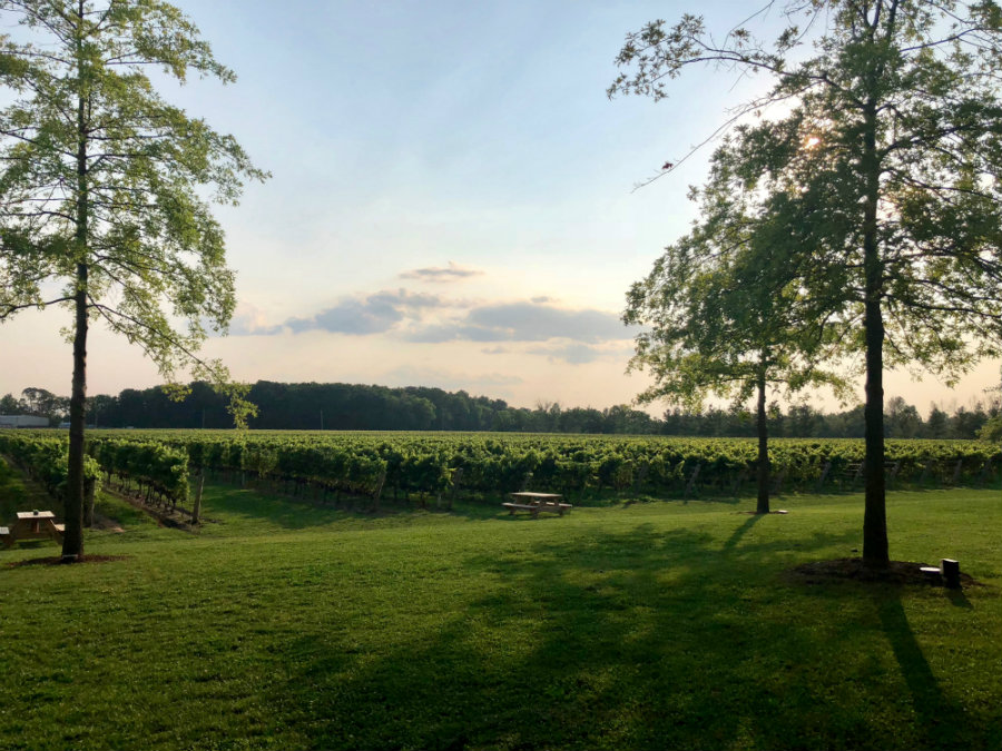 A Day in Enchanting Niagara-on-the-Lake