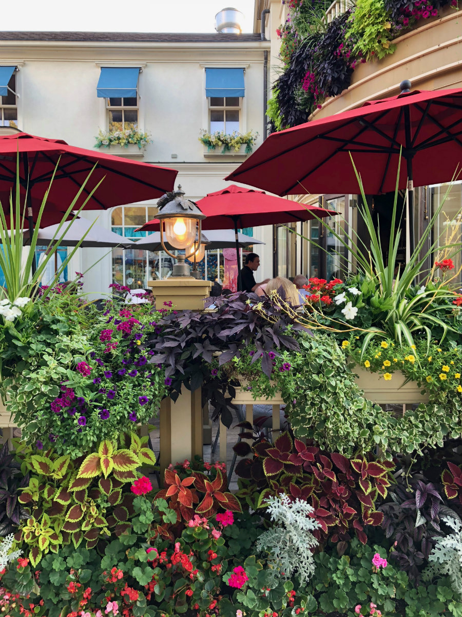 Things to do in Niagara on the Lake in Ontario