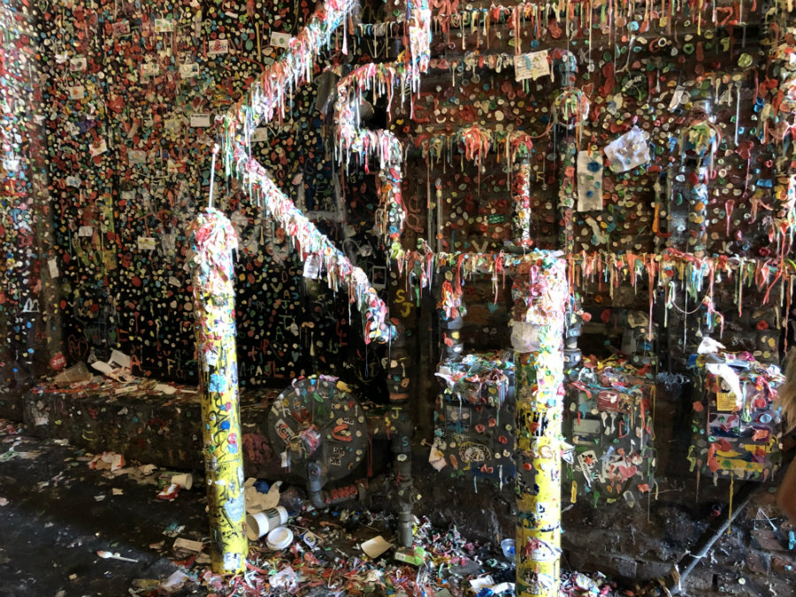 Checking out the gum wall on Post Alley in Seattle