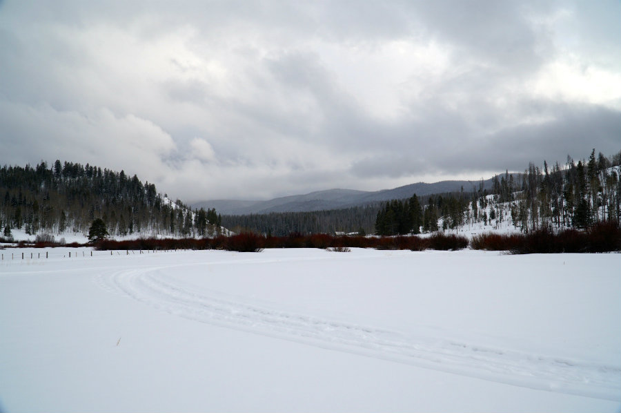Snowmobile tracks in the Yampa Valley outside of Steamboat Springs, CO